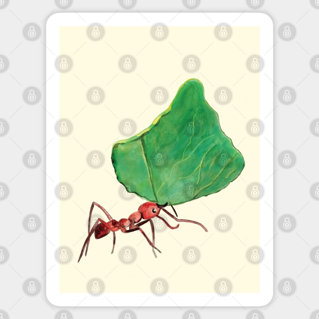 Ant carrying big leaf Sticker by Julia Doria Illustration